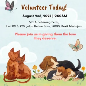 tray Cats and Dogs Support Fund