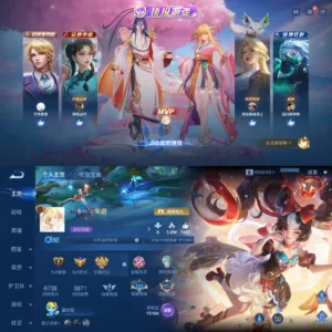 Gaming Companion Service